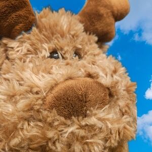 Ruben the Reindeer. Adorable Plush.